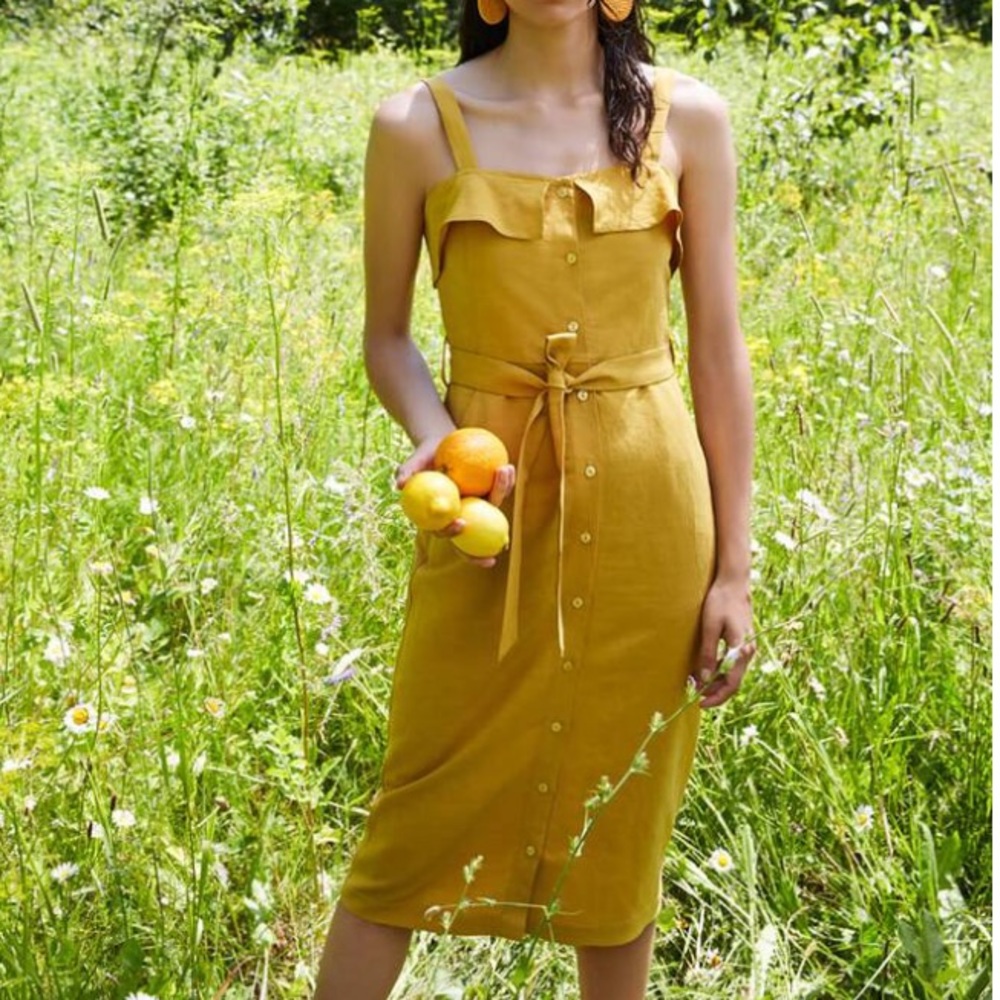 NWT • Eve Gravel “Olympia” dress